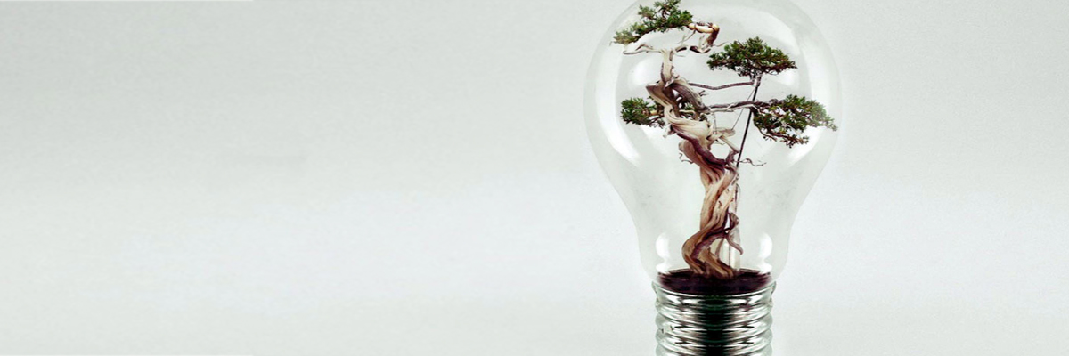 About Énigma Creativ, website design and graphic design, Haywards Heath, Sussex